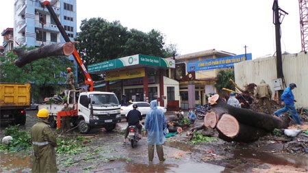 Hà Nội, Hải Phòng bình yên sau bão Haiyan - 4 Hà Nội, Hải Phòng bình yên sau bão Haiyan