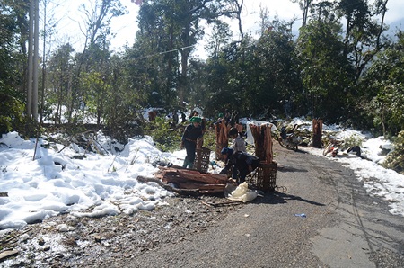 Tuyết vẫn phủ trắng Ý Tý