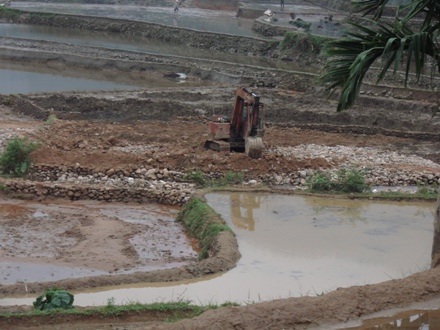 Đá lấp kín ruộng đồng, người dân lo không có gạo ăn