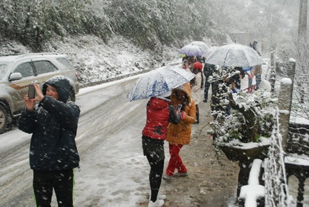 Phạm Ngọc Triển