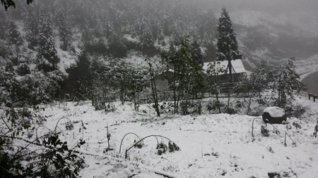 Tuyết phủ trắng xóa Sa Pa