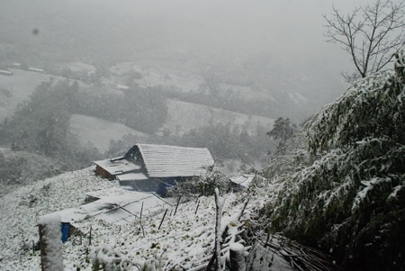 Phạm Ngọc Triển - Bùi Đức Anh