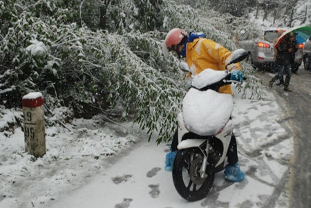 Giao thông gặp nhiều khó khăn