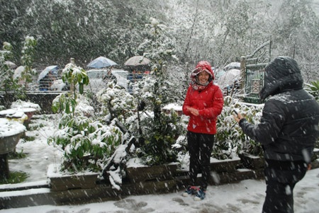 Phạm Ngọc Triển