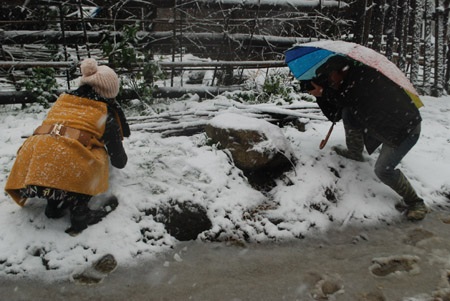 Phạm Ngọc Triển