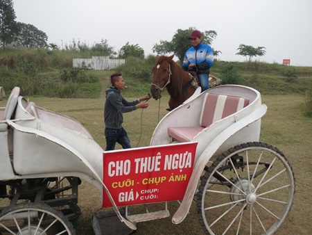Hà Nội: Cận tết Giáp Ngọ, dịch vụ cho thuê ngựa hốt bạc - 1 Hà Nội: Cận tết Giáp Ngọ, dịch vụ cho thuê ngựa hốt bạc