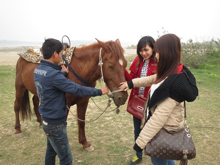 Hà Nội: Cận tết Giáp Ngọ, dịch vụ cho thuê ngựa hốt bạc - 2 Các bạn trẻ rất hứng thú với dịch vụ cưỡi ngựa.