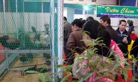 “Sản vật tiến vua” ồ ạt về Hà Nội - 10 Rất đông du khách đến để được tận mắt xem những “sản vật tiến vua” ngày xưa.