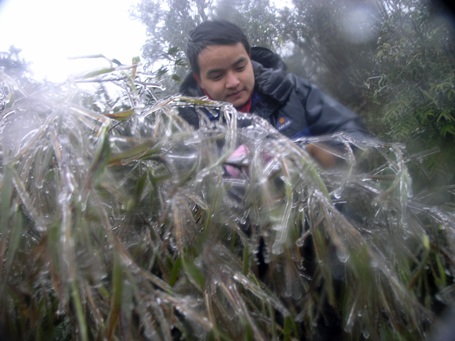 Băng tuyết trên đèo Ô Quý Hồ xuất hiện đầu tháng 1/2011. (Ảnh: Phạm Ngọc Triển)