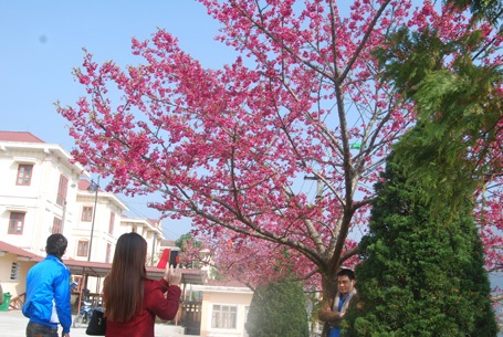 Phạm Ngọc Triển