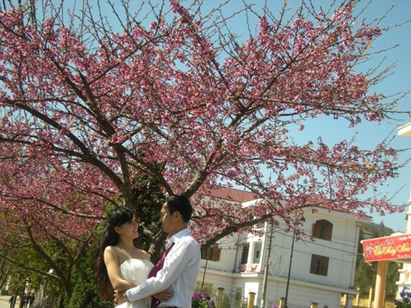 Phạm Ngọc Triển