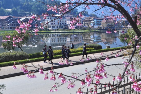 Phạm Ngọc Triển