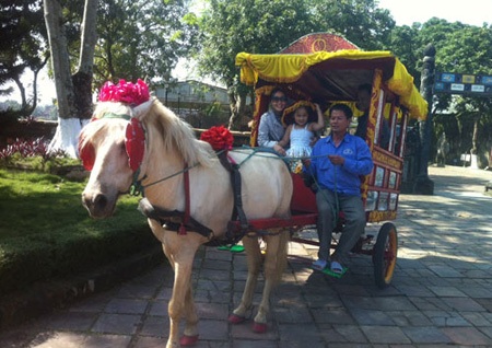 Chuyện người 30 năm chăm ngựa “chốn cung đình” - 1 Anh Lê Đắc Quảng điều khiển xe ngựa dẫn khách du xuân.