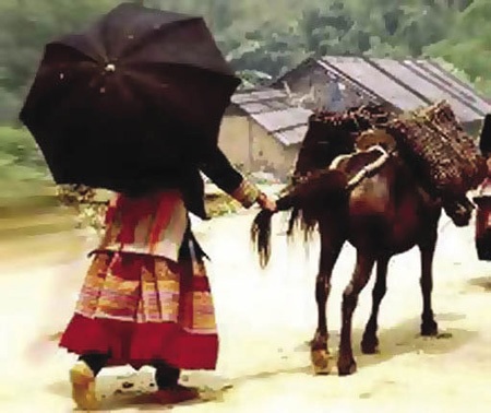 Theo lưng ngựa xuống chợ phiên. Ảnh: Dangkhoasp