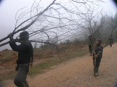 Phạm Ngọc Triển