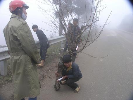 Phạm Ngọc Triển