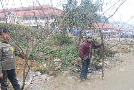 Phạm Ngọc Triển