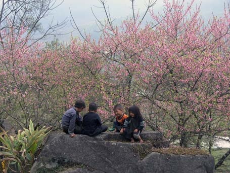 Phạm Ngọc Triển