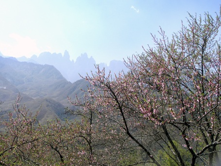 Phạm Ngọc Triển