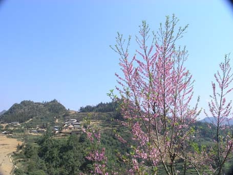 Phạm Ngọc Triển