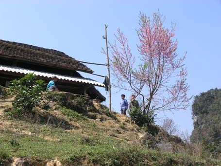 Phạm Ngọc Triển