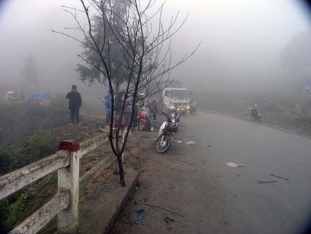 Những cành đào rừng trong giá rét (Ảnh: Phạm Ngọc Triển)