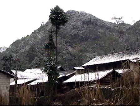 Cao nguyên đá Đồng Văn “đông cứng” trong cái rét 1 - 2 độ C - 1 Những mái nhà phủ dày tuyết ở cao nguyên đá Đồng Văn
