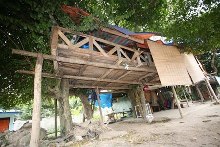Kỳ dị người đàn ông làm nhà trên cây để cai nghiện - 2 “Tư gia” của Giang cách mặt đất gần 3m.