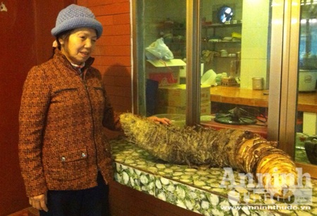 Đào được củ khoai "lạ" khổng lồ nặng hơn 16kg! - 2 Bà Thơ bên củ khoai khổng lồ do mình đào được