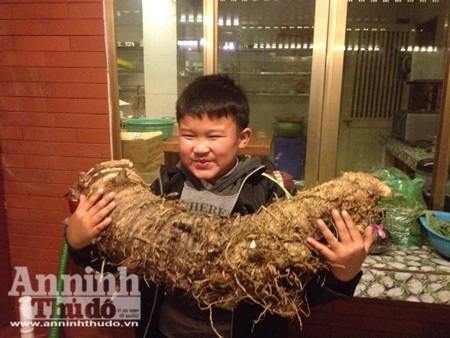 Đào được củ khoai "lạ" khổng lồ nặng hơn 16kg! - 3 Bà Thơ bên củ khoai khổng lồ do mình đào được