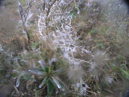 Băng tuyết xuất hiện nhẹ trên đèo Ô Quý Hồ (Sa Pa) cao hơn 2.000 mét so với mặt biển