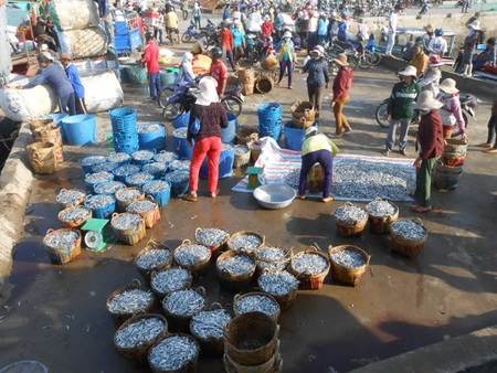 Tàu cao tốc An Vĩnh 01 vận chuyển khách từ đảo Lý Sơn vào đất liền.