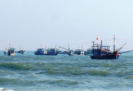 Ngư dân săn tôm hùm giống kiếm hàng trăm triệu - 1 Tàu thuyền ngư dân Tam Tiến đánh bắt tôm hùm con tại khu vực sát bờ ở biển Bàn Than, Núi Thành.