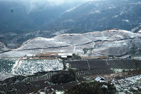 Phạm Ngọc Triển