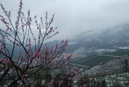 Phạm Ngọc Triển