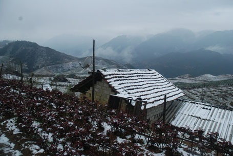 Phạm Ngọc Triển