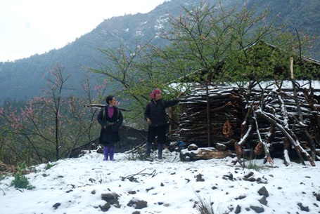 Phạm Ngọc Triển