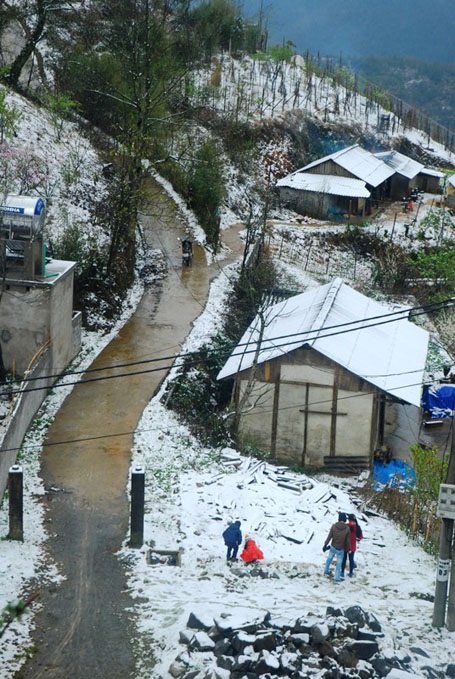 Phạm Ngọc Triển