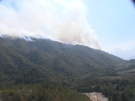 Đám cháy rừng Hoàng Liên vẫn chưa được khống chế