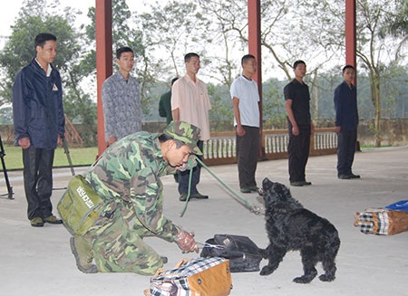 “Vũ khí đặc biệt” của Bộ đội Biên phòng - 6 Kỹ năng giám biệt
nguồn hơi hỗ trợ điều tra hình sự.