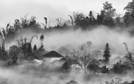 Lên rừng ngắm “biển mây” Ý Tý - 6 Ngọc Triển