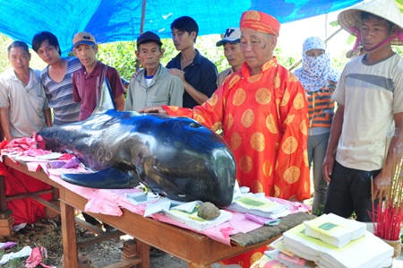 Bô lão mặc trang phục truyền thống để tiến hành nghi lễ cúng cá Ông