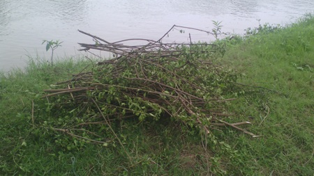 Cứu con chết đuối, mẹ cũng tử vong - 1 Nơi chị Huế kiếm củi, để con bị rơi xuống cống