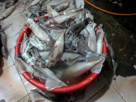 Phát hiện thủ đoạn dùng hóa chất “tẩy” trắng mực ươn - 2 Mực ươn, thối được ngâm tẩy rồi bán ra chợ Long Biên