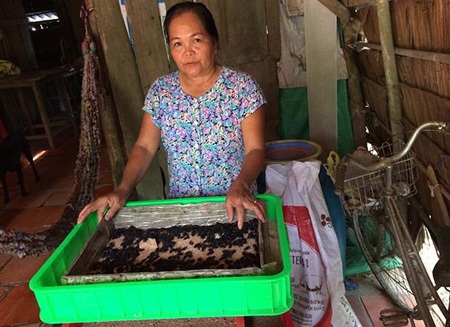 Dân đổ xô nuôi sâu lạ ăn tạp - 1 Khay sâu superworm nuôi tại nhà bà Dòi.
