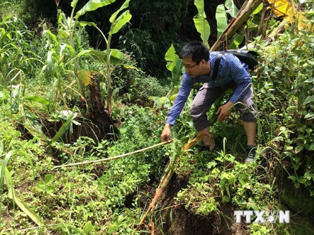 Xuất hiện vết nứt dài khoảng 150m trên sườn núi tại Lai Châu - 3 Độ rộng vết nứt lên đến gần 1m. (Ảnh: Quang Duy/TTXVN)