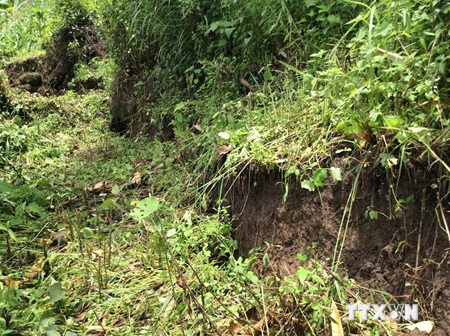 Xuất hiện vết nứt dài khoảng 150m trên sườn núi tại Lai Châu - 4 Nhiều điểm trượt sâu đến 1m. (Ảnh: Quang Duy/TTXVN).