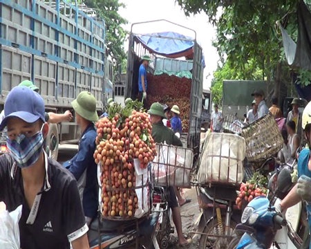 “Vựa vải” lớn nhất miền Bắc liên tục tắc đường - 3 “Vựa vải” lớn nhất miền Bắc liên tục tắc đường