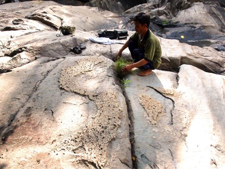 Ông Đặng Quốc Ái