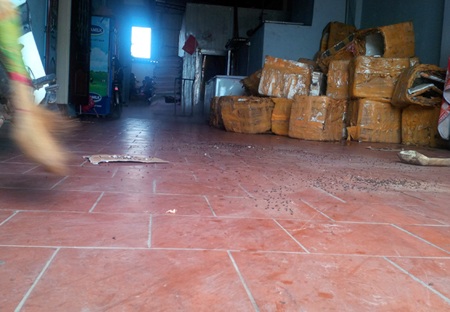 Cơ sở sản xuất kem phải dùng bả đánh ruồi nhưng vẫn không tiêu diệt được loài côn trùng này